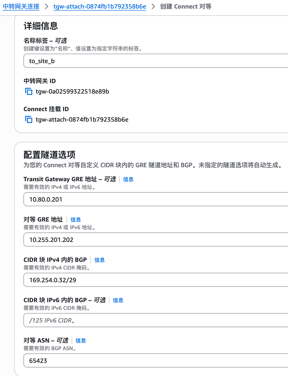 Connect对等配置B