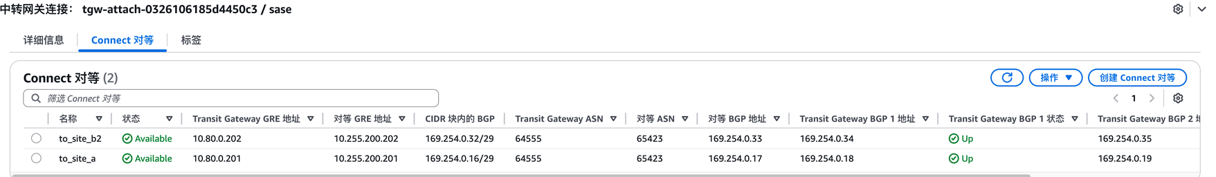 Connect对等BGP信息