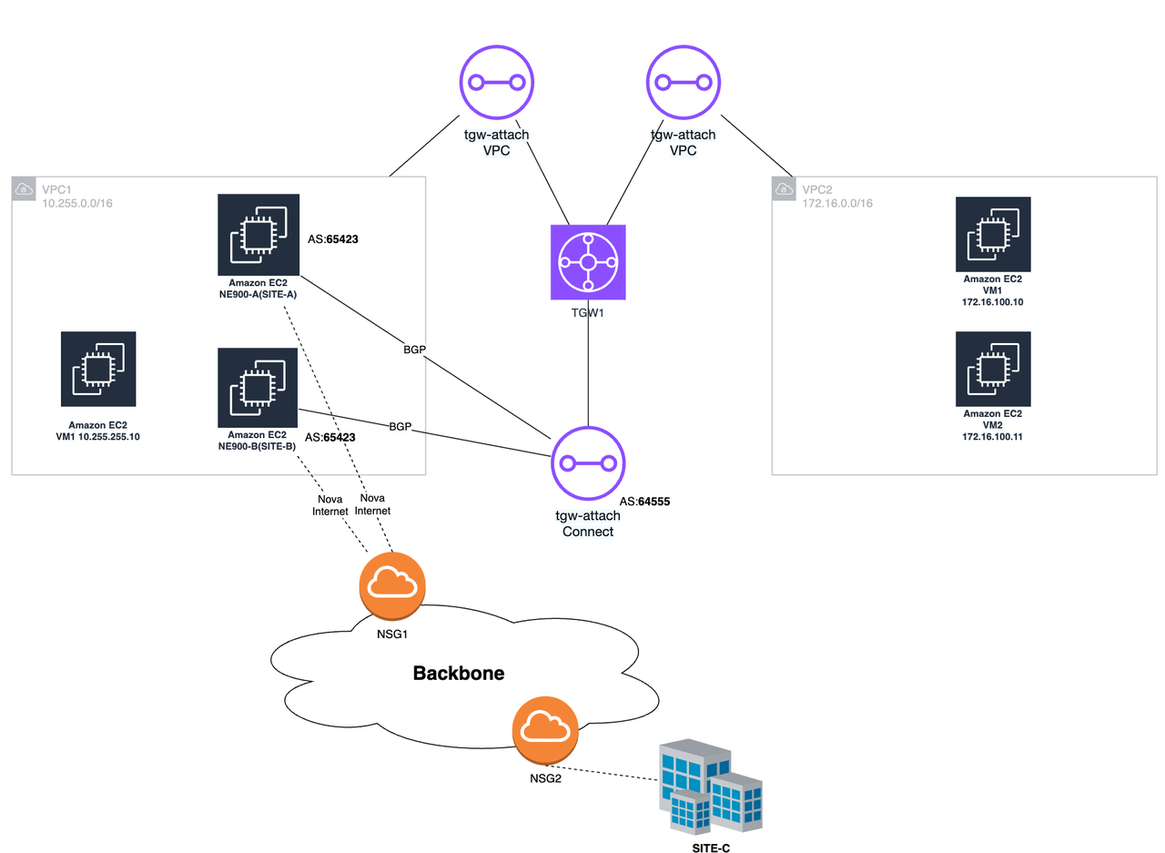 AWS TGW HA 拓扑图