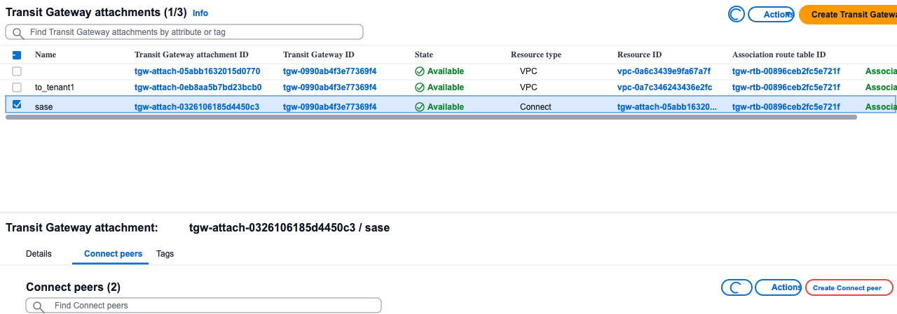 Create Connect peer