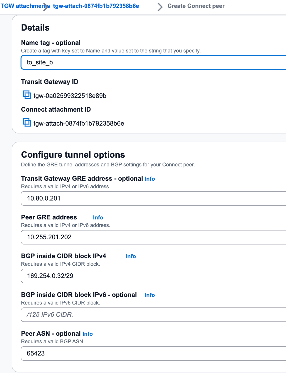 Connect Peer Configuration B