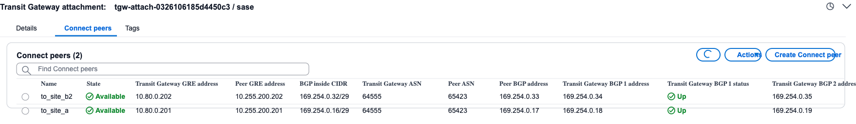 Connect peer BGP information