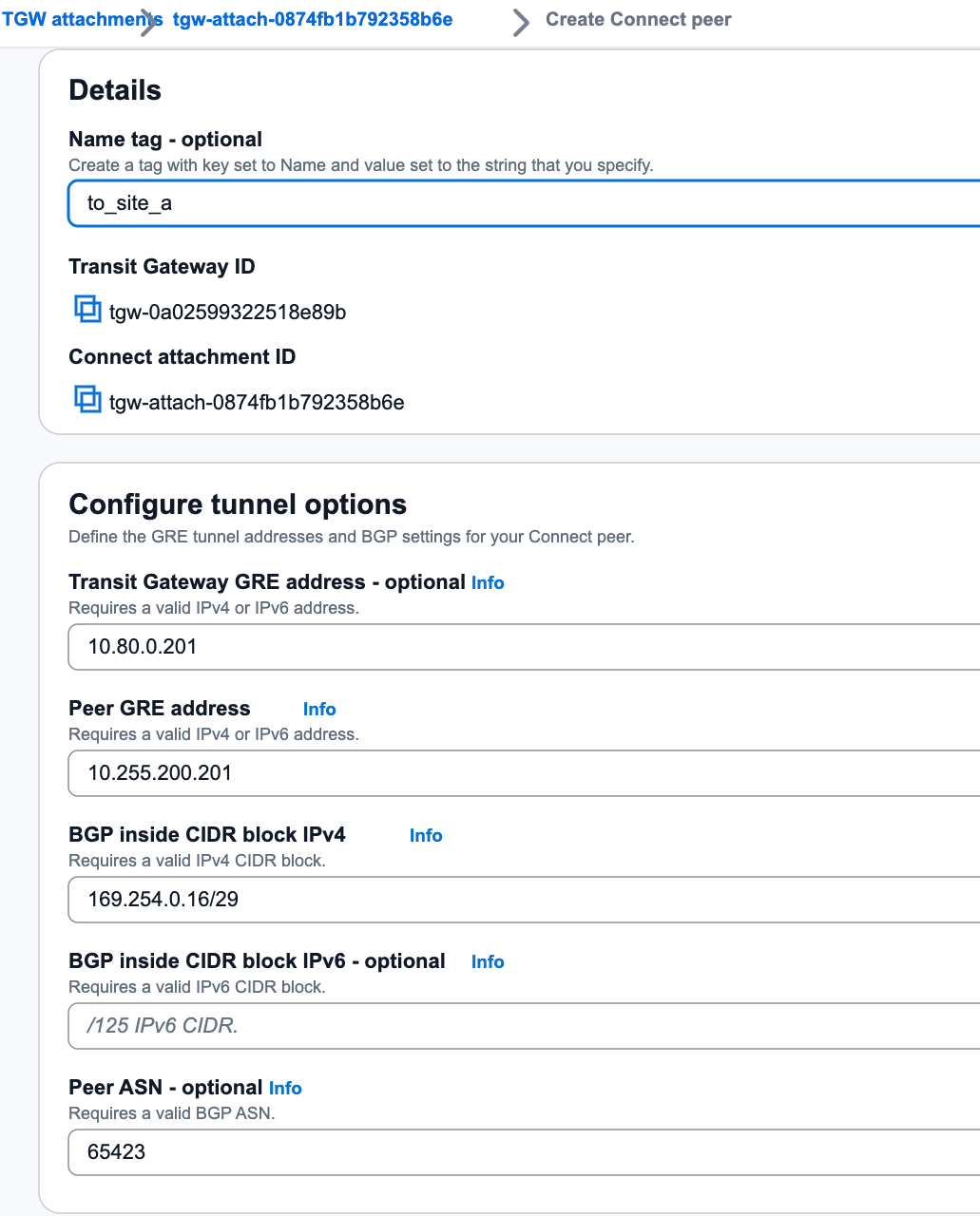 Connect Peer Configuration